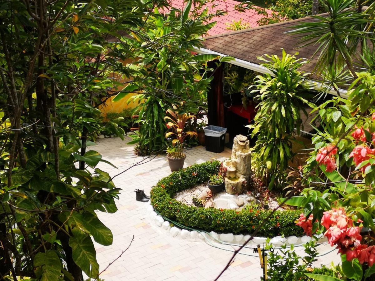 Hotel Belvedere Playa Samara Costa Rica المظهر الخارجي الصورة