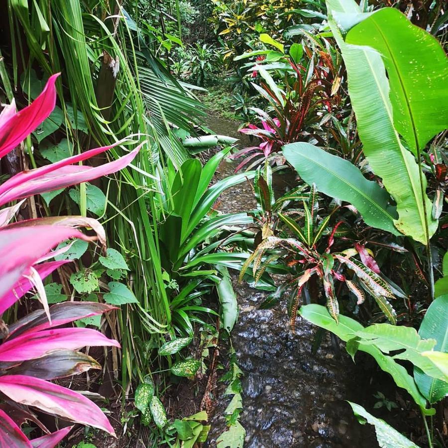 Hotel Belvedere Playa Samara Costa Rica المظهر الخارجي الصورة