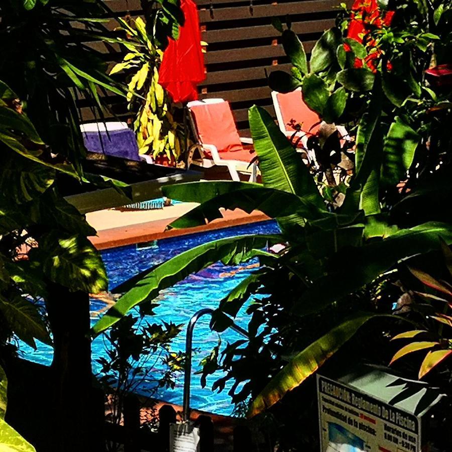 Hotel Belvedere Playa Samara Costa Rica المظهر الخارجي الصورة