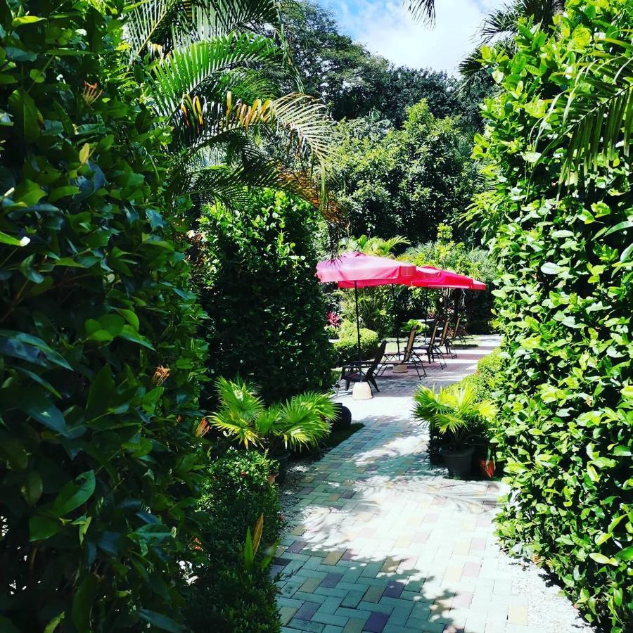 Hotel Belvedere Playa Samara Costa Rica المظهر الخارجي الصورة