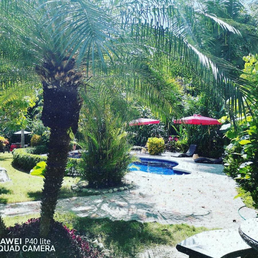 Hotel Belvedere Playa Samara Costa Rica المظهر الخارجي الصورة