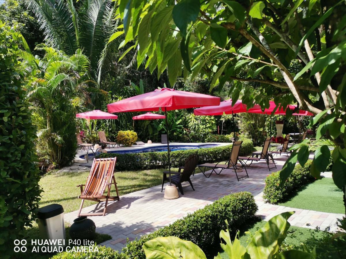 Hotel Belvedere Playa Samara Costa Rica المظهر الخارجي الصورة