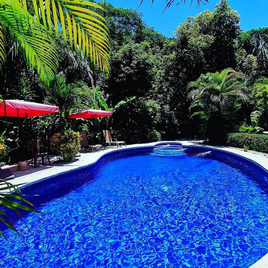 Hotel Belvedere Playa Samara Costa Rica المظهر الخارجي الصورة