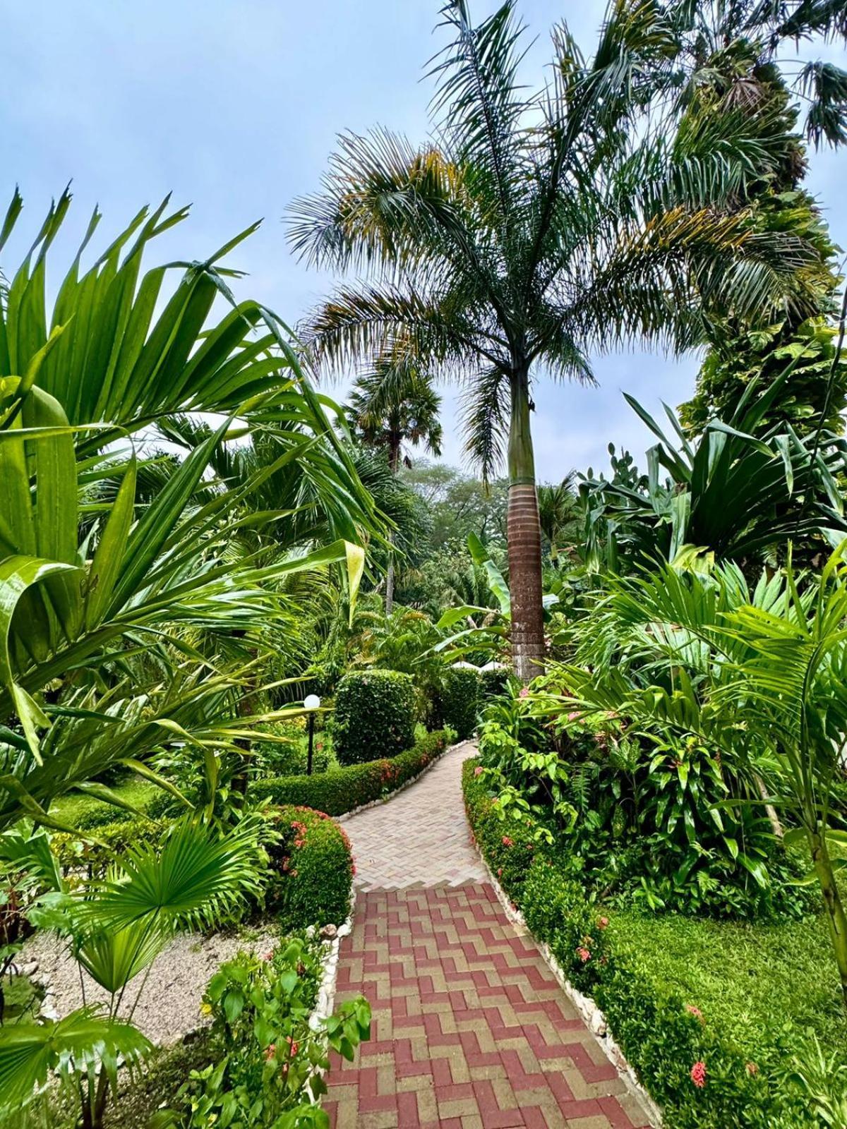 Hotel Belvedere Playa Samara Costa Rica المظهر الخارجي الصورة