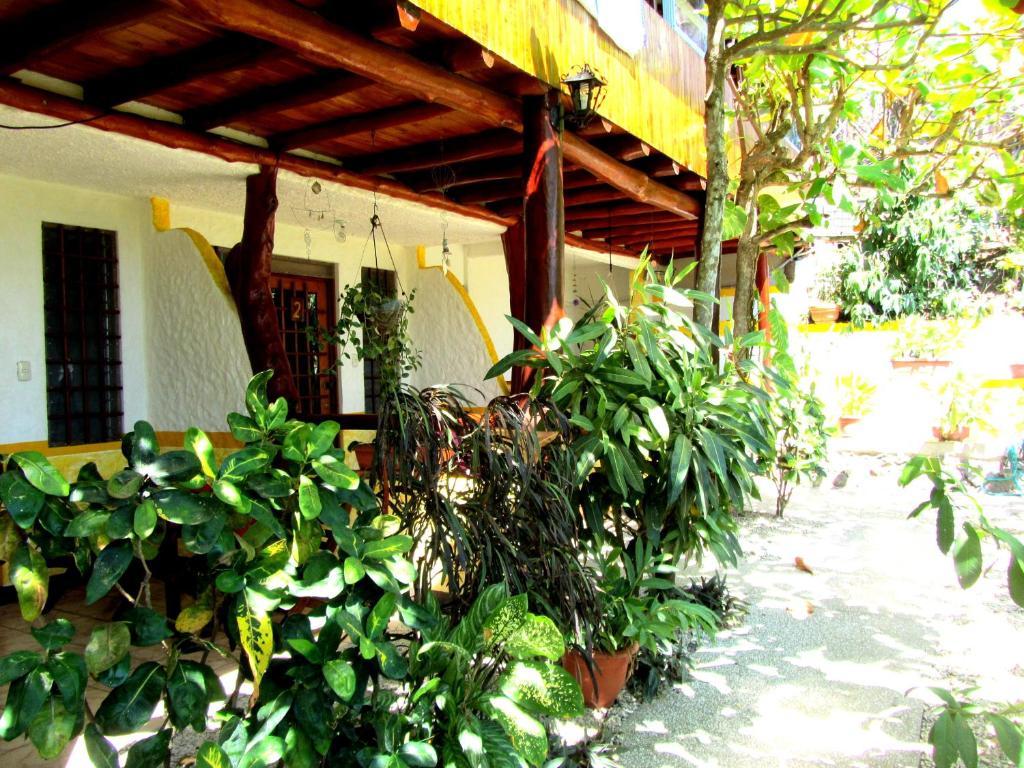 Hotel Belvedere Playa Samara Costa Rica المظهر الخارجي الصورة
